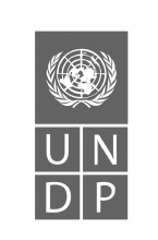 Every Bullet Has A Target- UNDP Logo